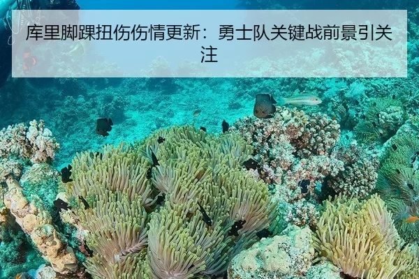 ku-li-jiao-huai-niu-shang-shang-qing-geng-xin-yong-shi-dui-guan-jian-zhan-qian-jing-yin-guan-zhu-2-366.jpg