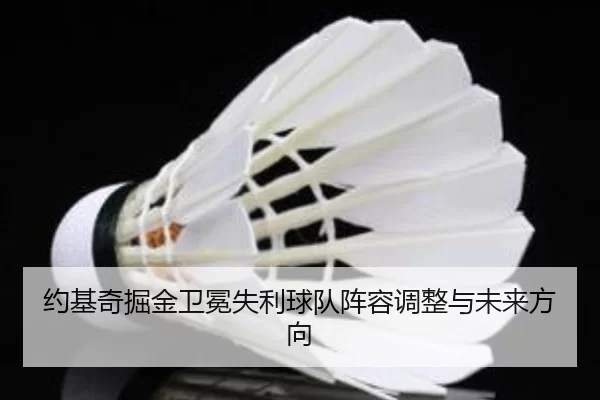 约基奇掘金卫冕失利球队阵容调整与未来方向