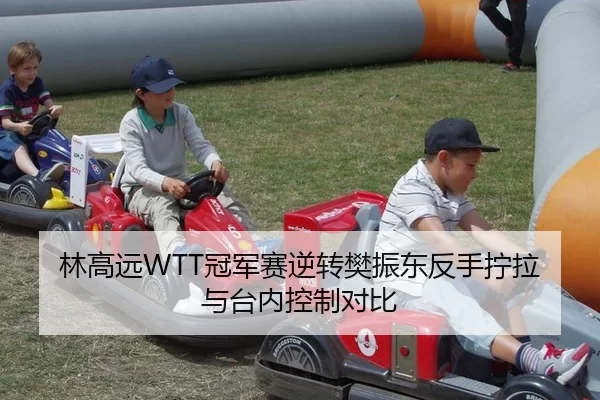 林高远WTT冠军赛逆转樊振东反手拧拉与台内控制对比